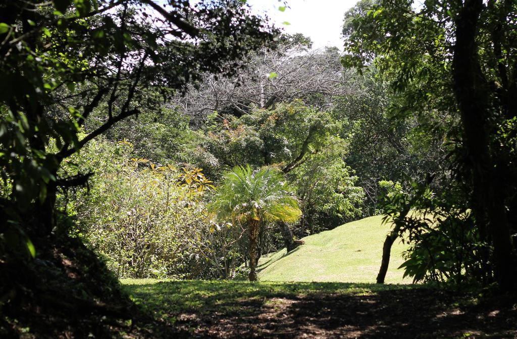Casa Canitas Monteverde ภายนอก รูปภาพ